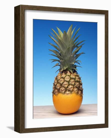 Genetically Modified Fruit Hybrid-Victor De Schwanberg-Framed Photographic Print