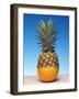 Genetically Modified Fruit Hybrid-Victor De Schwanberg-Framed Photographic Print