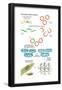 Genetically Modified Organism. Recombinant Dna Technology, Genetic Engineering, Heredity, Genetics-Encyclopaedia Britannica-Framed Poster