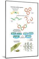 Genetically Modified Organism. Recombinant Dna Technology, Genetic Engineering, Heredity, Genetics-Encyclopaedia Britannica-Mounted Poster