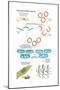 Genetically Modified Organism. Recombinant Dna Technology, Genetic Engineering, Heredity, Genetics-Encyclopaedia Britannica-Mounted Poster