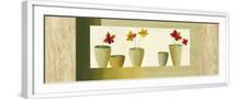 White Frame