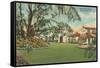 Genius Estate, Winter Park-null-Framed Stretched Canvas