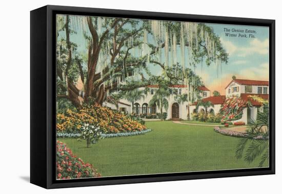 Genius Estate, Winter Park-null-Framed Stretched Canvas