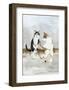 Gennaio-Dede Moser-Framed Art Print