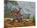 Wood Mount