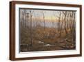 Brown Frame