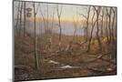 Wood Mount