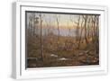 White Frame