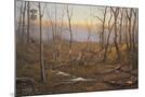 Wood Mount