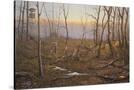 Stretched Canvas