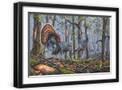 Black Frame