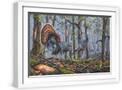White Frame