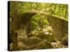 Genoan Bridge in Vegetation of Gorges De Spelonca, Ponte De Zaglia, Corsica, France-Trish Drury-Stretched Canvas