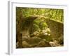 Genoan Bridge in Vegetation of Gorges De Spelonca, Ponte De Zaglia, Corsica, France-Trish Drury-Framed Photographic Print