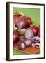 Genoese Red Onion-null-Framed Photographic Print