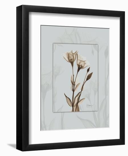 Gentian Blue Brown 2-Albert Koetsier-Framed Art Print