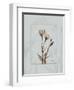 Gentian Blue Brown 2-Albert Koetsier-Framed Art Print