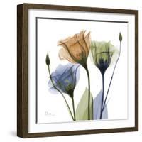 Gentian Buddies-Albert Koetsier-Framed Art Print