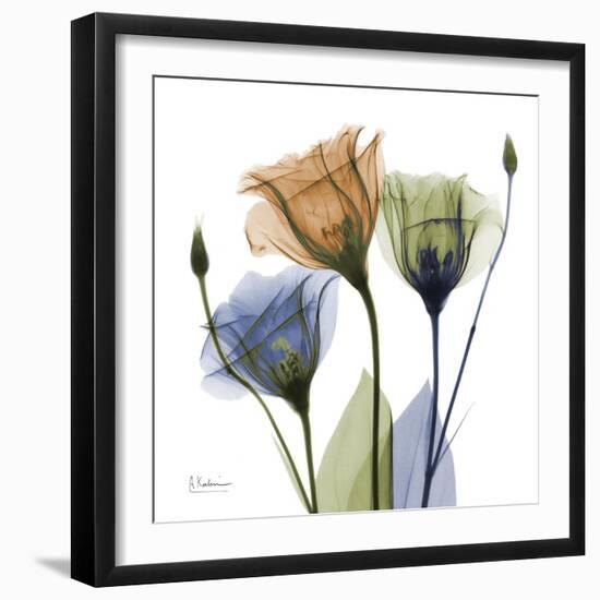 Gentian Buddies-Albert Koetsier-Framed Art Print