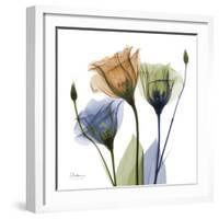 Gentian Buddies-Albert Koetsier-Framed Art Print