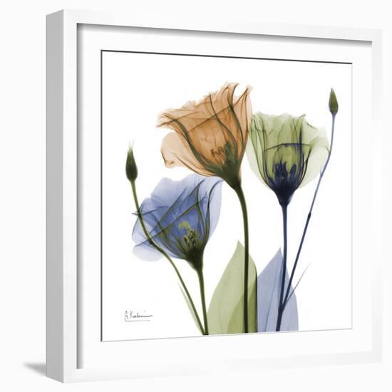 Gentian Buddies-Albert Koetsier-Framed Art Print