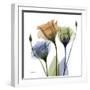 Gentian Buddies-Albert Koetsier-Framed Art Print