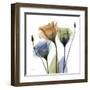 Gentian Buddies-Albert Koetsier-Framed Art Print