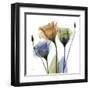 Gentian Buddies-Albert Koetsier-Framed Art Print