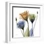 Gentian Buddies-Albert Koetsier-Framed Art Print