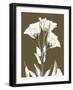 Gentian Fall-Albert Koetsier-Framed Art Print