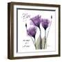 Gentian Hope-Albert Koetsier-Framed Art Print