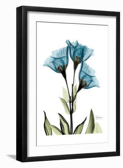 Gentian L301-Albert Koetsier-Framed Art Print