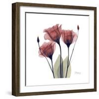 Gentian Trio in Red-Albert Koetsier-Framed Premium Giclee Print