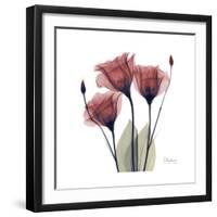 Gentian Trio in Red-Albert Koetsier-Framed Premium Giclee Print