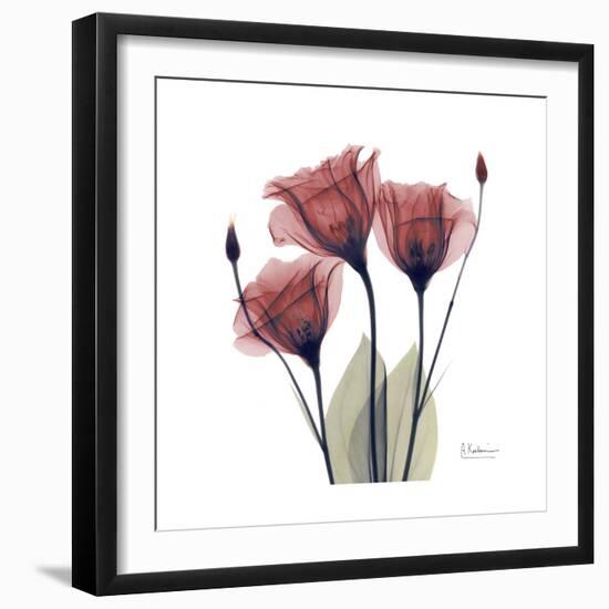 Gentian Trio in Red-Albert Koetsier-Framed Premium Giclee Print