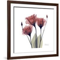 Gentian Trio in Red-Albert Koetsier-Framed Premium Giclee Print