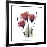 Gentian Trio in Red-Albert Koetsier-Framed Premium Giclee Print