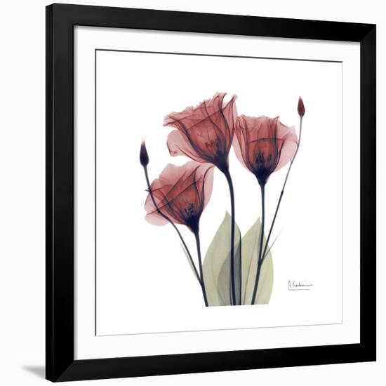 Gentian Trio in Red-Albert Koetsier-Framed Premium Giclee Print