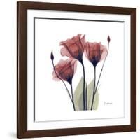 Gentian Trio in Red-Albert Koetsier-Framed Giclee Print