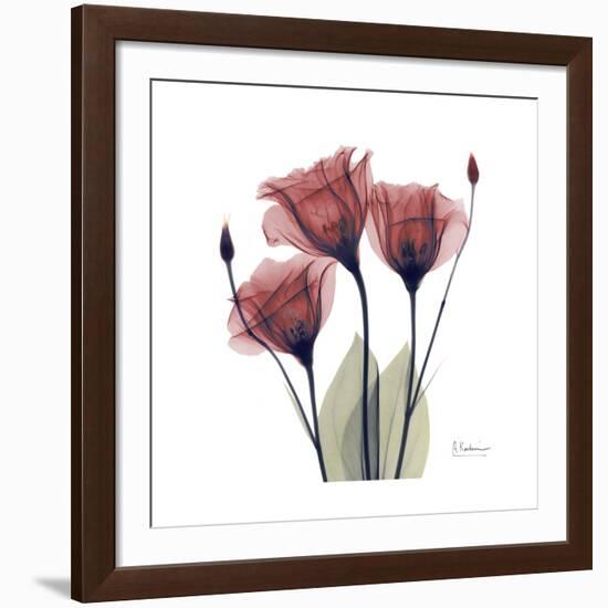 Gentian Trio in Red-Albert Koetsier-Framed Giclee Print