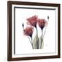 Gentian Trio in Red-Albert Koetsier-Framed Giclee Print