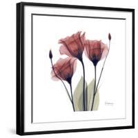 Gentian Trio in Red-Albert Koetsier-Framed Giclee Print