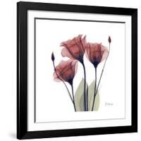 Gentian Trio in Red-Albert Koetsier-Framed Giclee Print