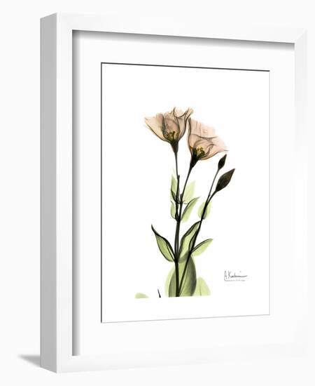 Gentian Twins-Albert Koetsier-Framed Art Print