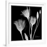 Gentian Xray 1-Albert Koetsier-Framed Premium Giclee Print