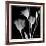 Gentian Xray 1-Albert Koetsier-Framed Premium Giclee Print