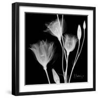 Gentian Xray 1-Albert Koetsier-Framed Art Print