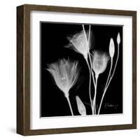 Gentian Xray 1-Albert Koetsier-Framed Art Print