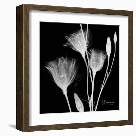 Gentian Xray 1-Albert Koetsier-Framed Art Print